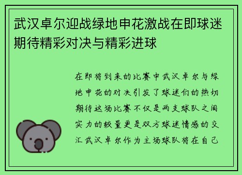 武汉卓尔迎战绿地申花激战在即球迷期待精彩对决与精彩进球