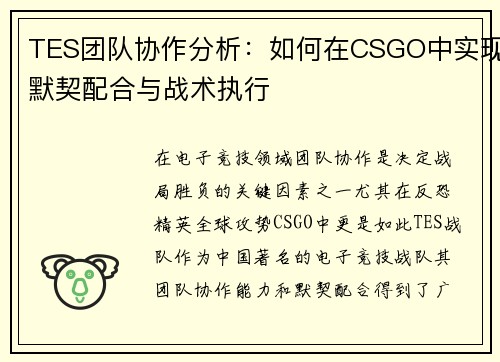TES团队协作分析：如何在CSGO中实现默契配合与战术执行